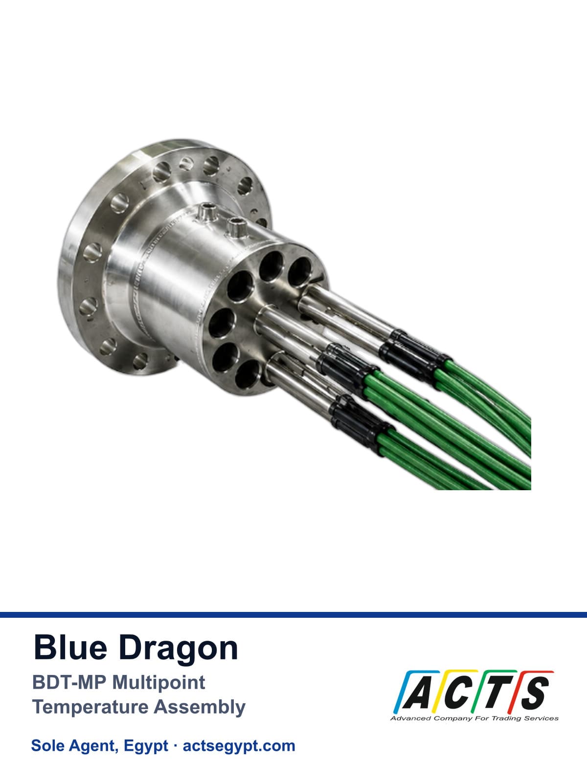 BDT-MP multipoint temperature assemblies