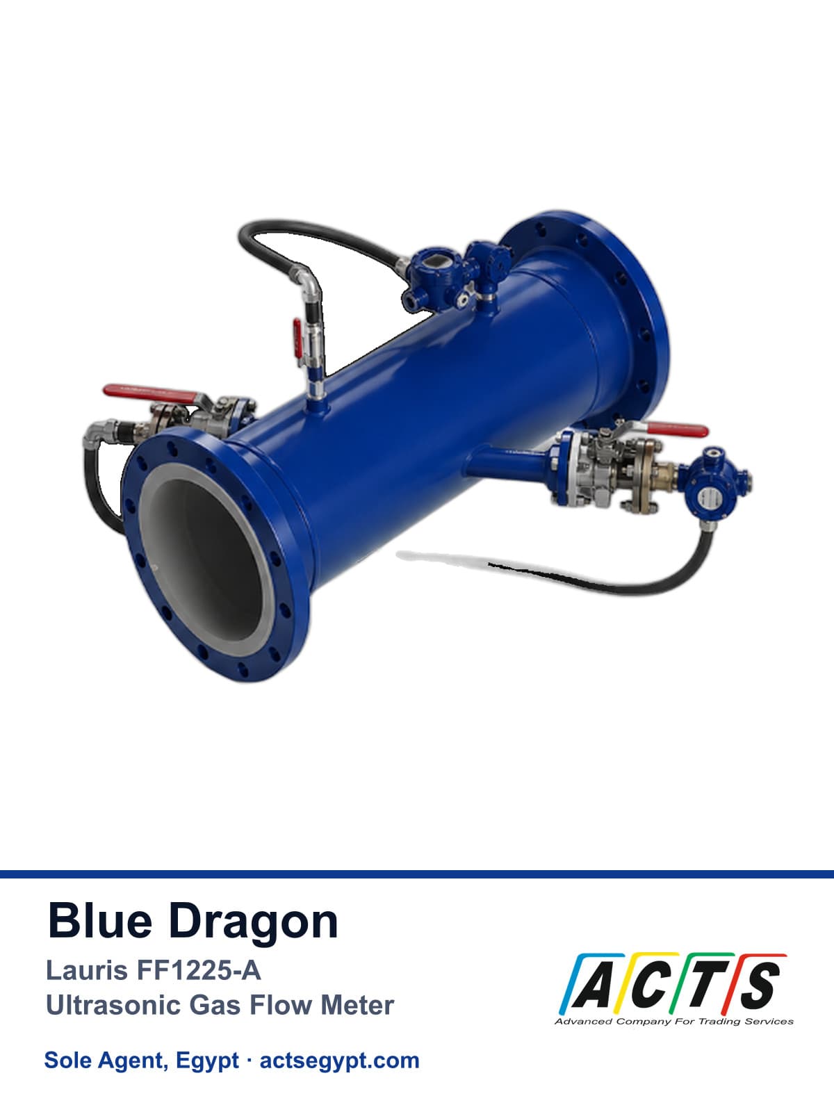 Lauris FF1225-A single-path inline ultrasonic flow meter