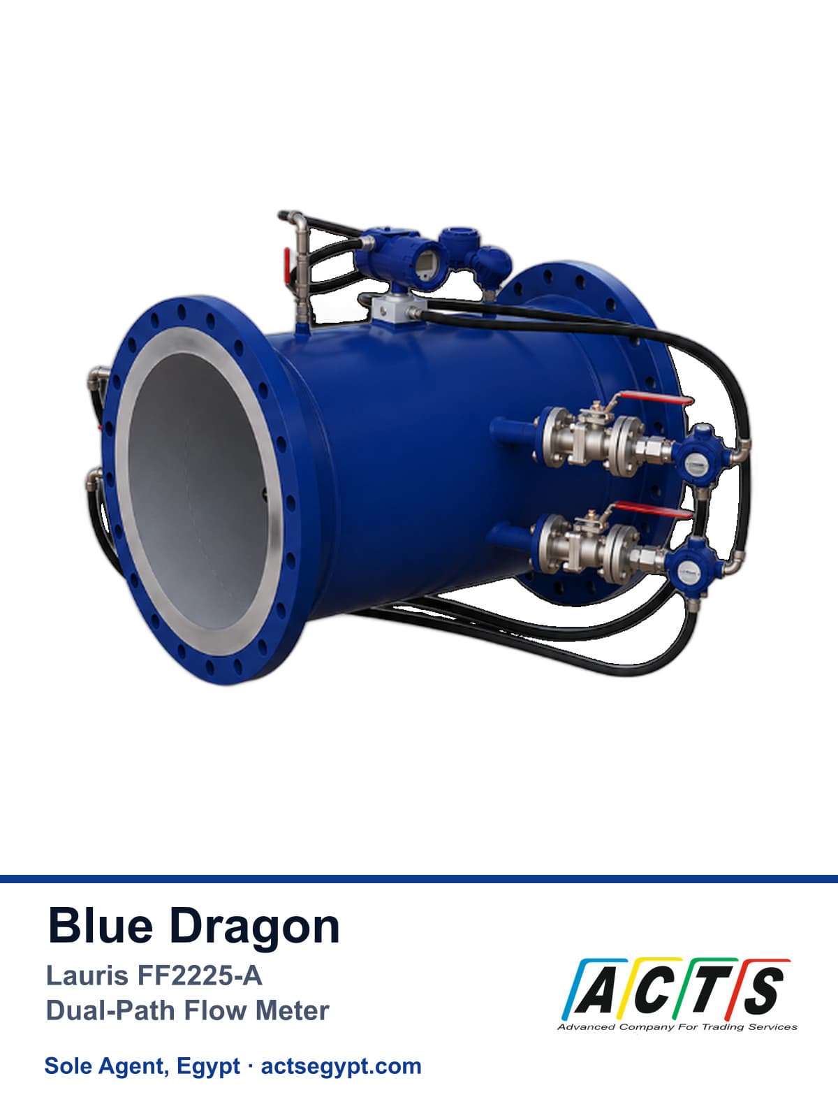 Lauris FF2225-A dual-path inline ultrasonic flow meter